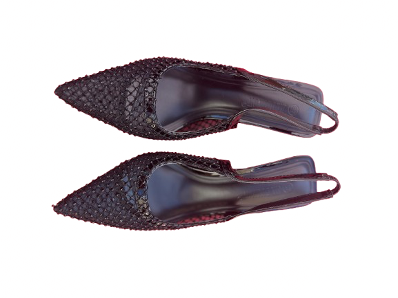 Talon