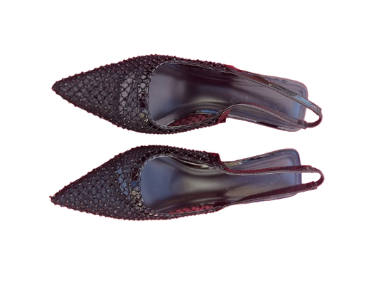 Talon
